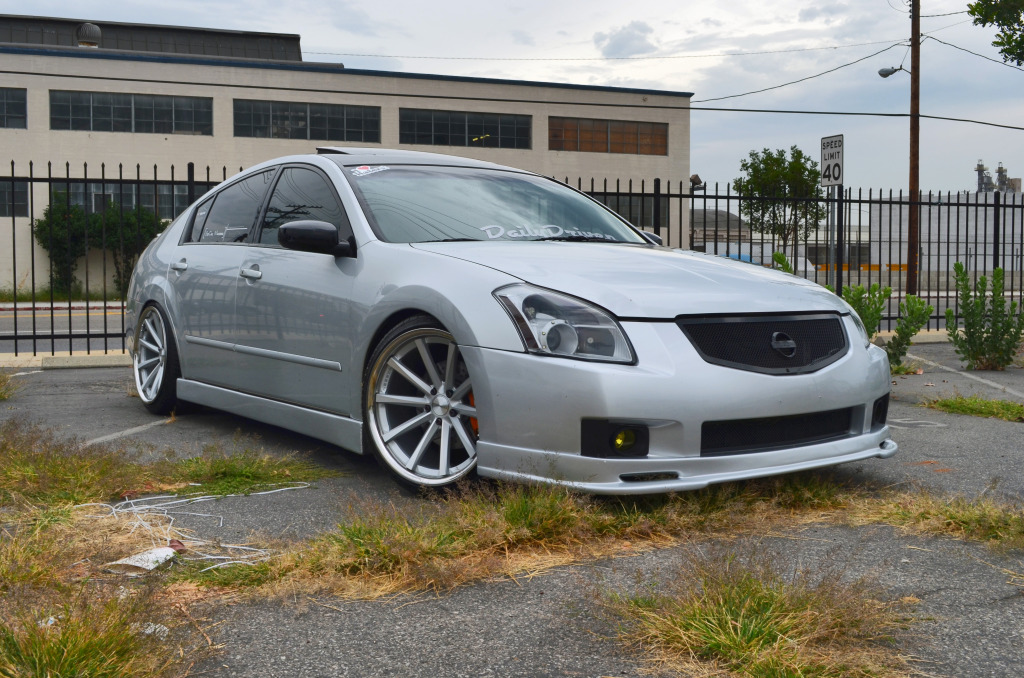 Name:  DSC_084dd5.jpg
Views: 715
Size:  298.9 KB
