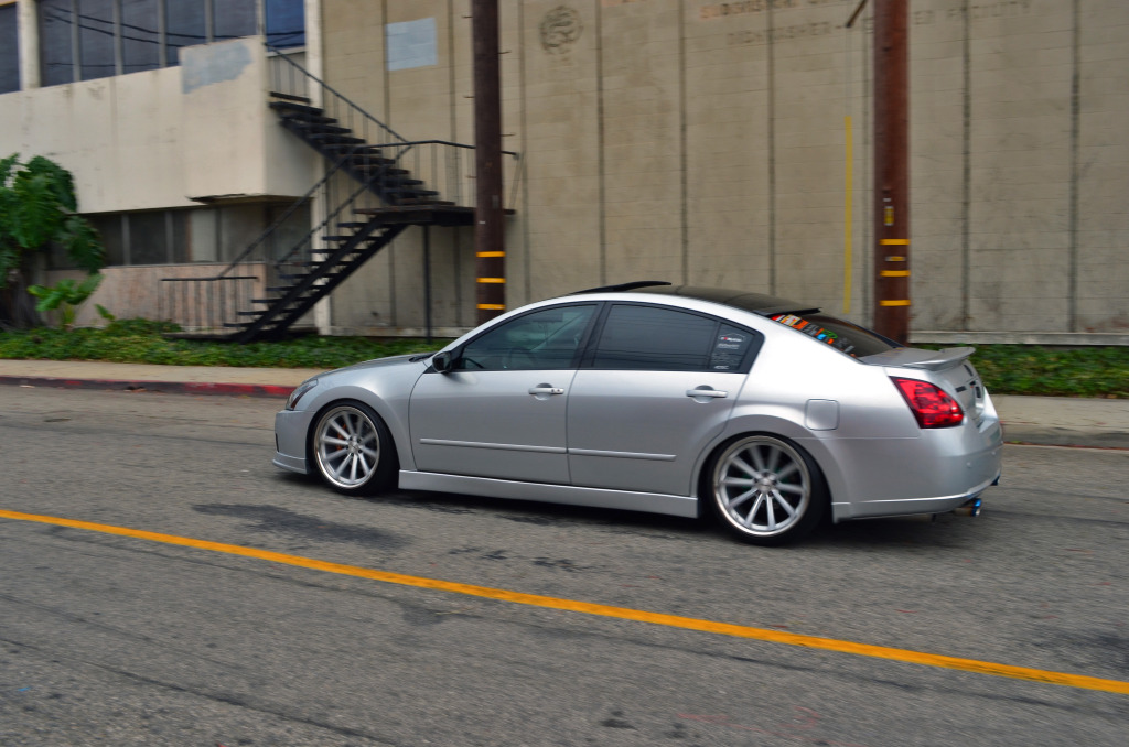 Name:  DSC_0867vv.jpg
Views: 1037
Size:  205.0 KB