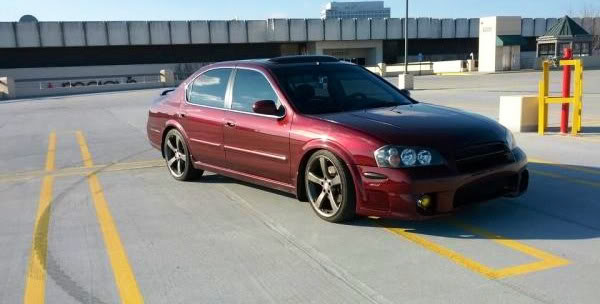 Name:  cb5af467.jpg
Views: 696
Size:  35.1 KB