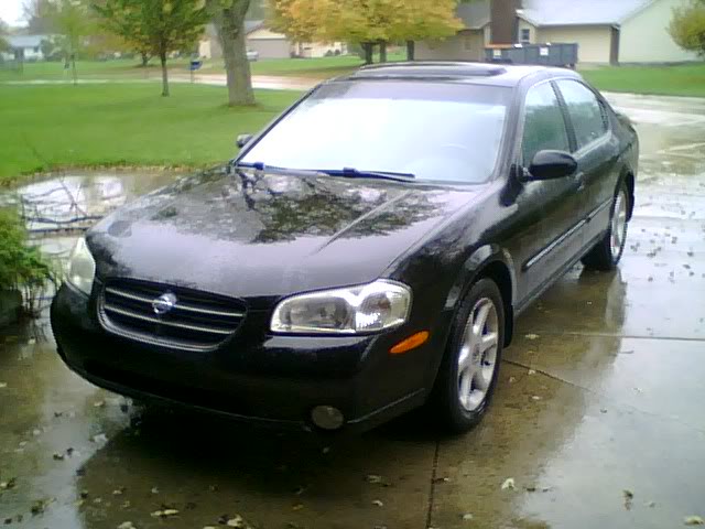Name:  rainymax400k.jpg
Views: 25
Size:  52.3 KB