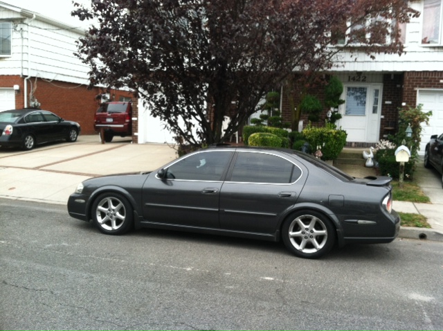 Name:  photo-6_zps4cd9eca4.jpg
Views: 417
Size:  155.0 KB