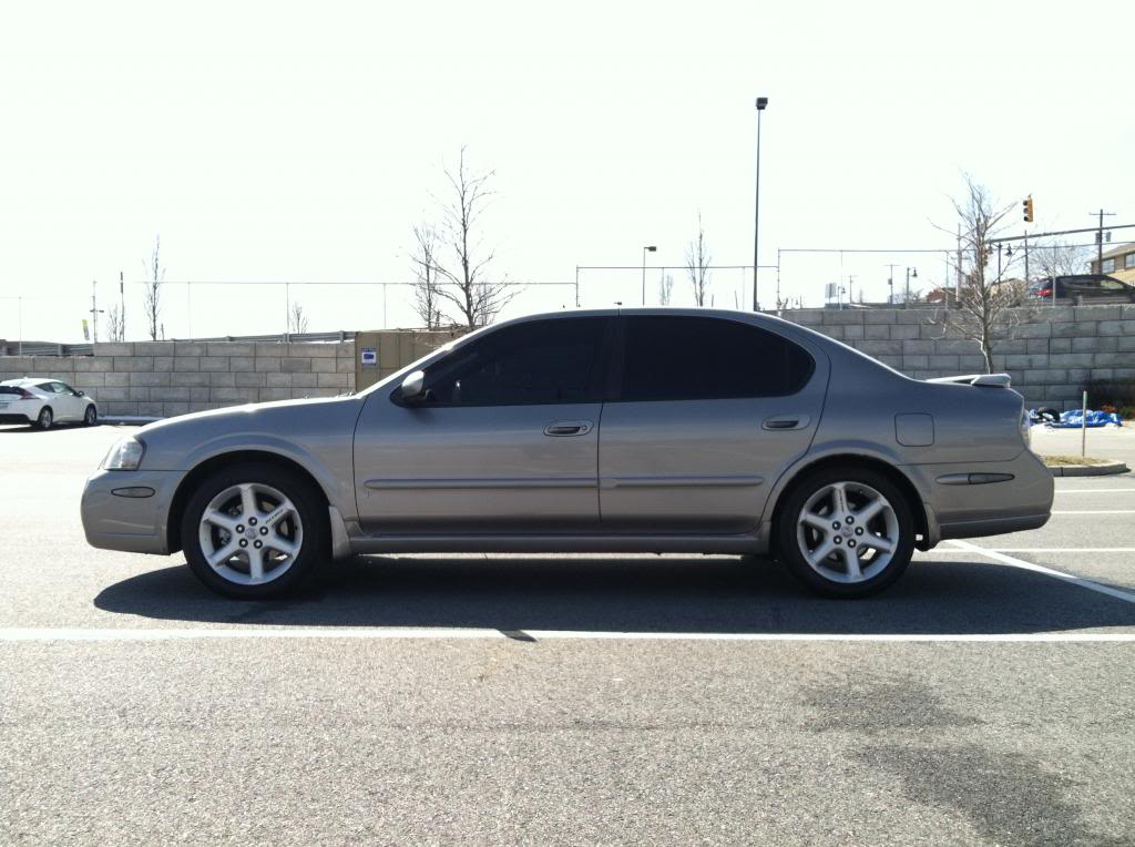 Name: photo2-12.jpg
Views: 124
Size: 101.7 KB