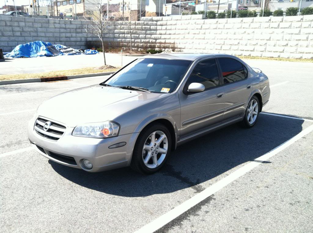 Name: photo4-8.jpg
Views: 46
Size: 136.9 KB