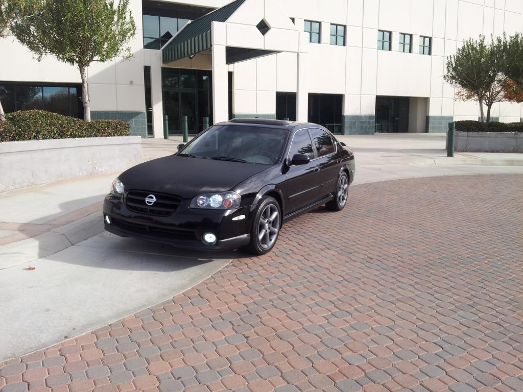 Name:  03cobra060.jpg
Views: 298
Size:  121.1 KB