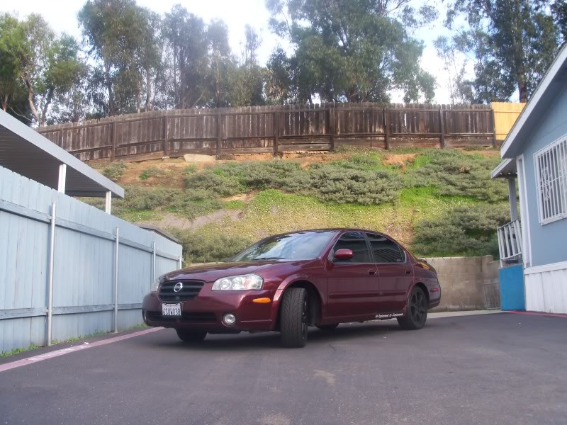 Name:  100_1250.jpg
Views: 421
Size:  111.0 KB