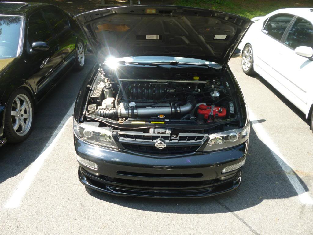 Name:  enginebay.jpg
Views: 69
Size:  111.8 KB