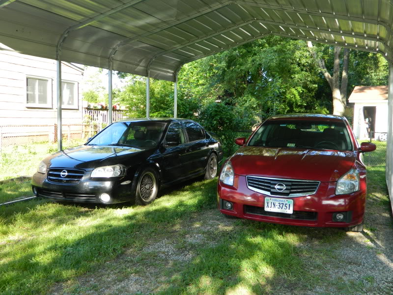 Name:  DSCN0168.jpg
Views: 130
Size:  158.9 KB