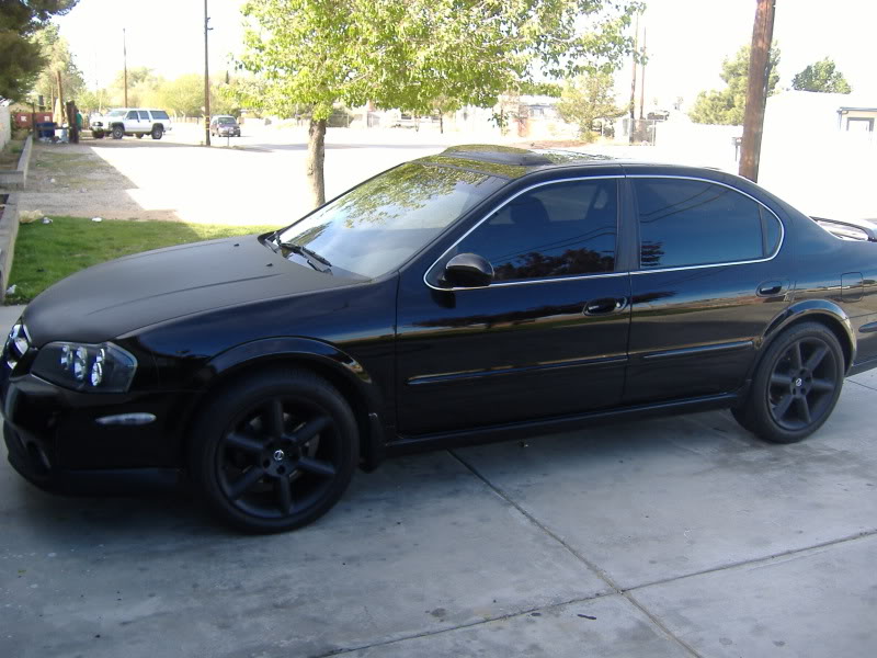 Name:  whitestang063.jpg
Views: 41
Size:  89.2 KB
