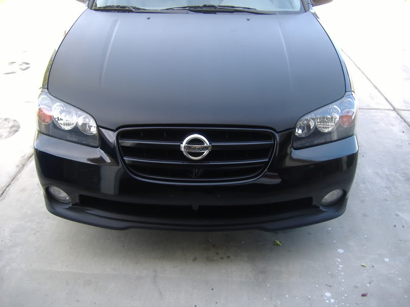 Name:  whitestang064.jpg
Views: 101
Size:  56.3 KB