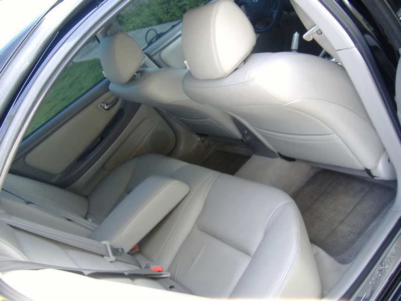 Name:  whitestang066.jpg
Views: 76
Size:  60.3 KB