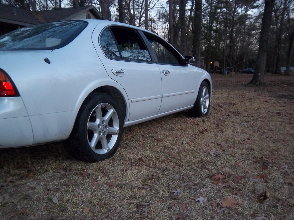 Name:  2011carnival014.jpg
Views: 268
Size:  367.4 KB