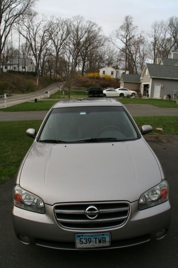 CT CT/NY For Sale 2003 Nissan Maxima SE Titanium Edition (6 Speed