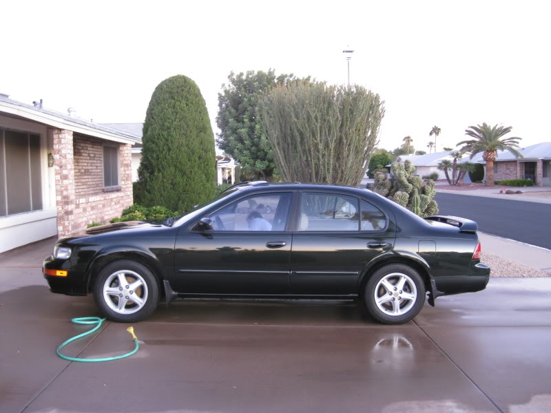 Name:  2011AZThanksgiving022.jpg
Views: 75
Size:  72.4 KB