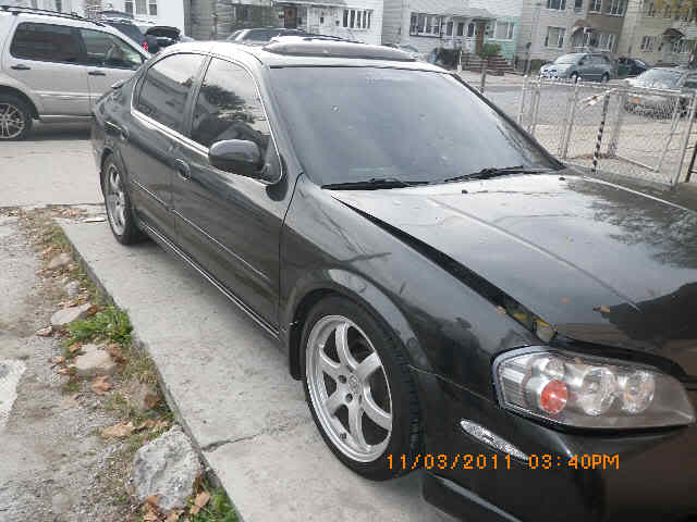 Name:  1265321297_P_5.jpg
Views: 97
Size:  34.2 KB