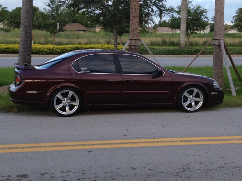 Name:  80a59b9e.jpg
Views: 18
Size:  126.3 KB