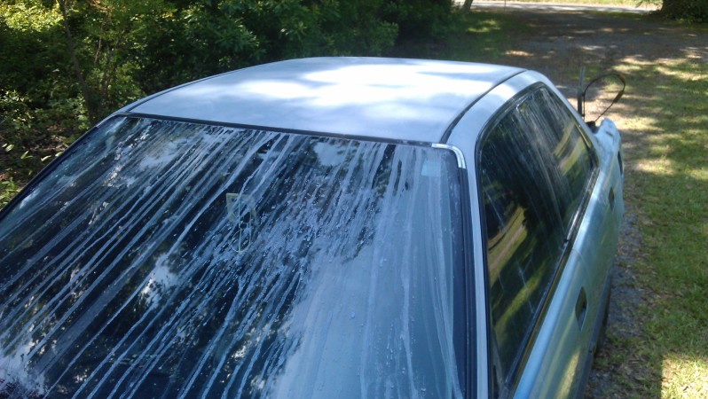 Name: IMAG0729.jpg
Views: 27
Size: 144.3 KB