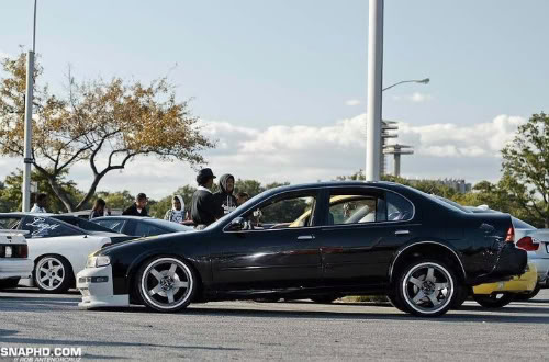 Name:  57ea66f2.jpg
Views: 33
Size:  45.5 KB
