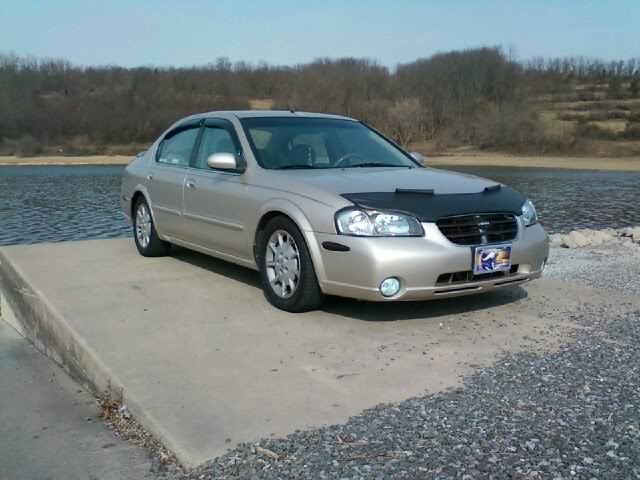 Name:  car1.jpg
Views: 16
Size:  54.4 KB
