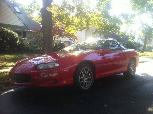 Name:  yiQxal.jpg
Views: 9
Size:  59.0 KB