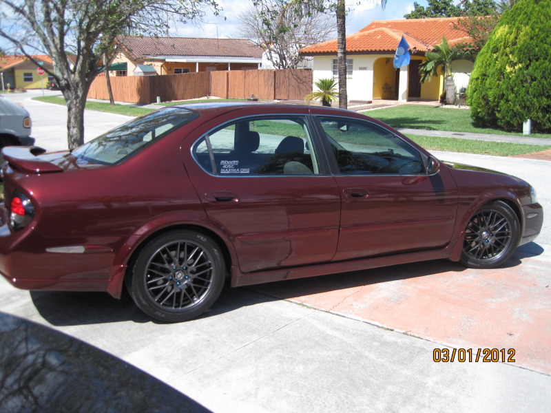 Name:  IMG_2378.jpg
Views: 178
Size:  168.9 KB